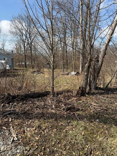 Photo of 13424 Ivy Road NE, Thornville, OH 43076 (MLS # 226006632)
