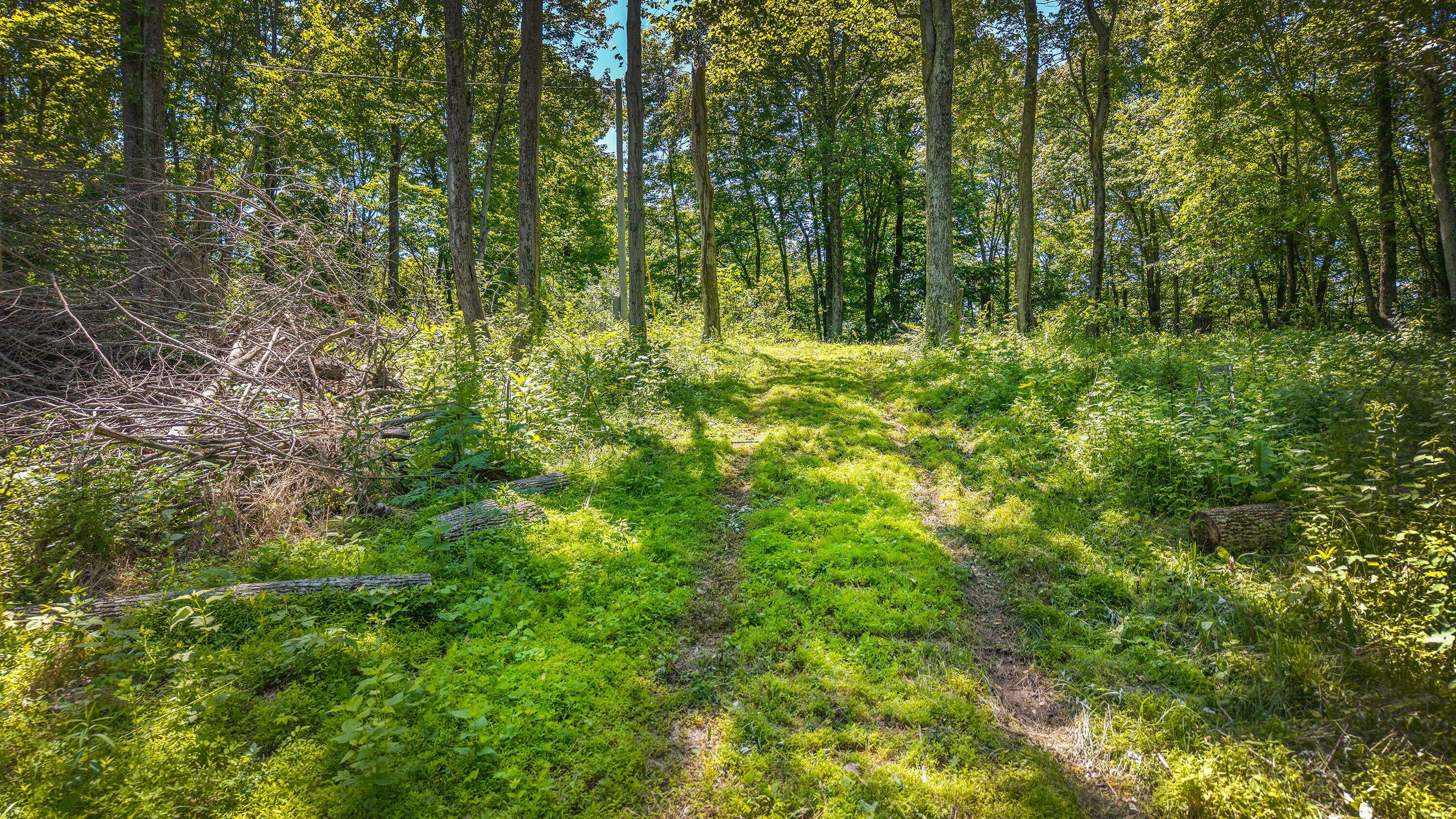 19703 Township Road 76b