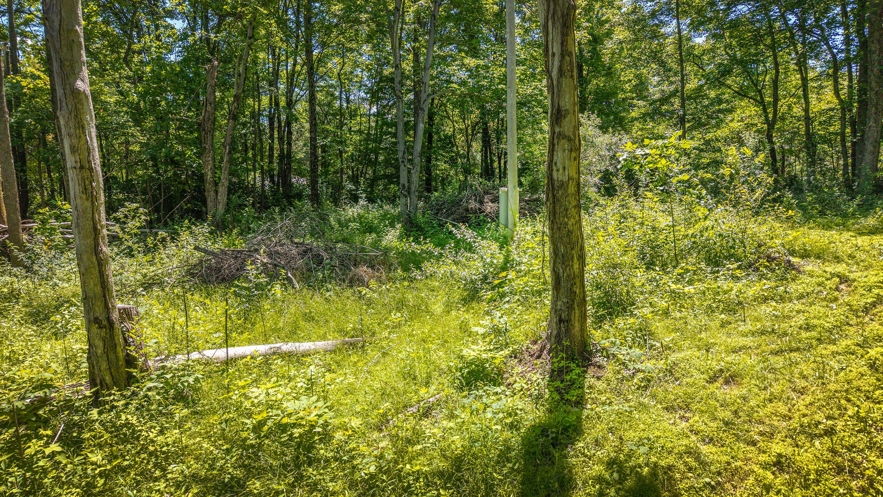 19703 Township Road 76b