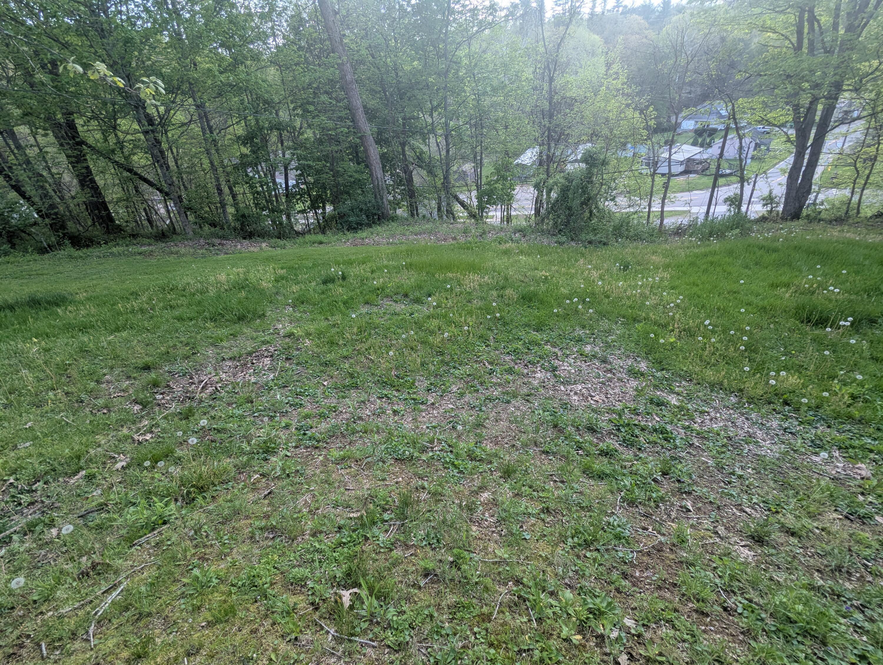 200 Ann Street, New Straitsville, Ohio image 30