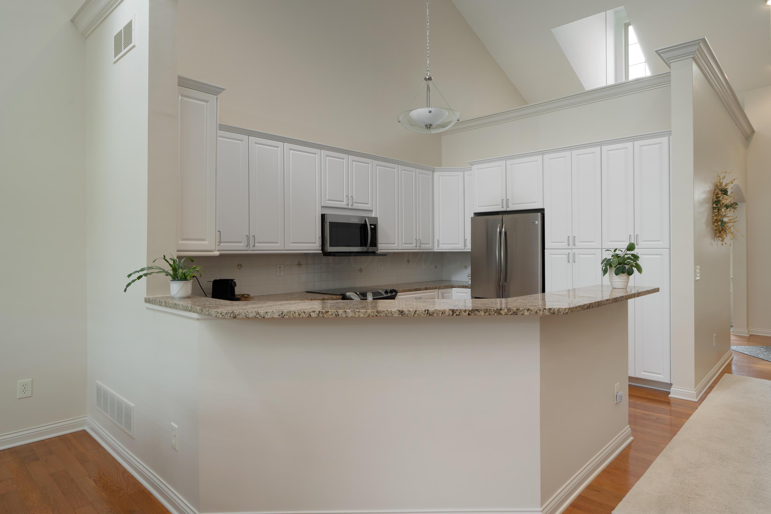 8217 Dolman Drive, Powell, Ohio image 19