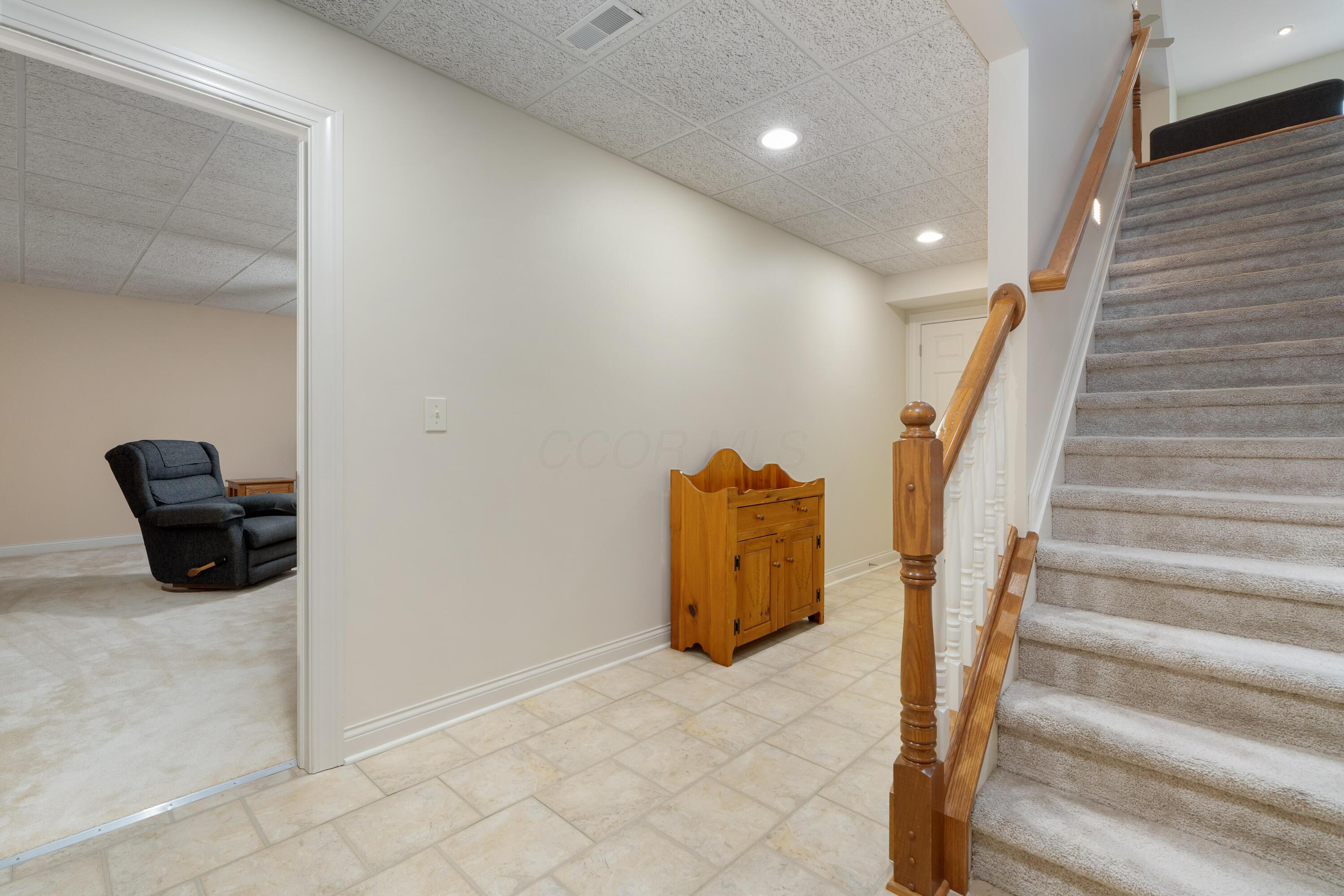 8217 Dolman Drive, Powell, Ohio image 36