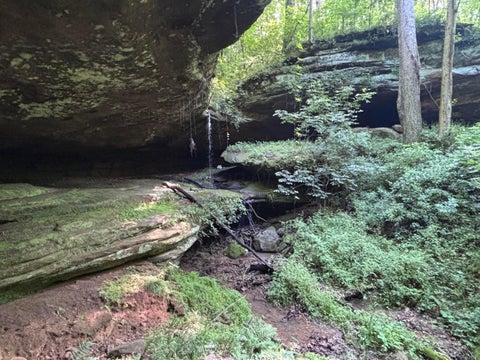 Vacant Land For Sale - Cliff<br/> Hocking County, Rockbridge, OH 43149
