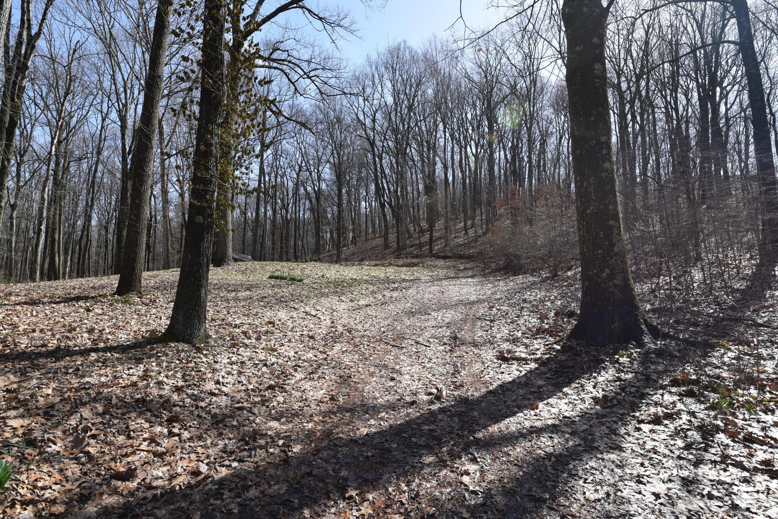 14212 Long Run Road, Laurelville, Ohio image 11