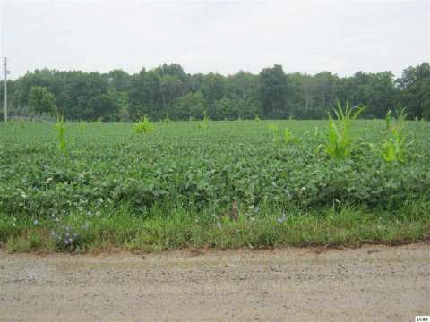 Photo for Dewey Road