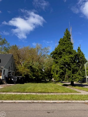 395 CHALMERS ST, DETROIT, MI 48215 - Image 1527dcc3c68815fcf4fffc4d89c78cfb/925694752