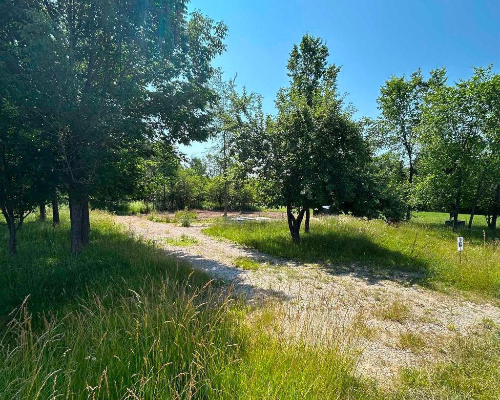 Photo of 4342 Hamilton Way, Butman, MI 48624 (MLS # 50166044)