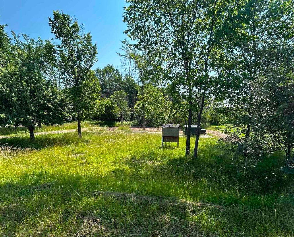 Photo of 4342 Hamilton Way, Butman, MI 48624 (MLS # 50166044)