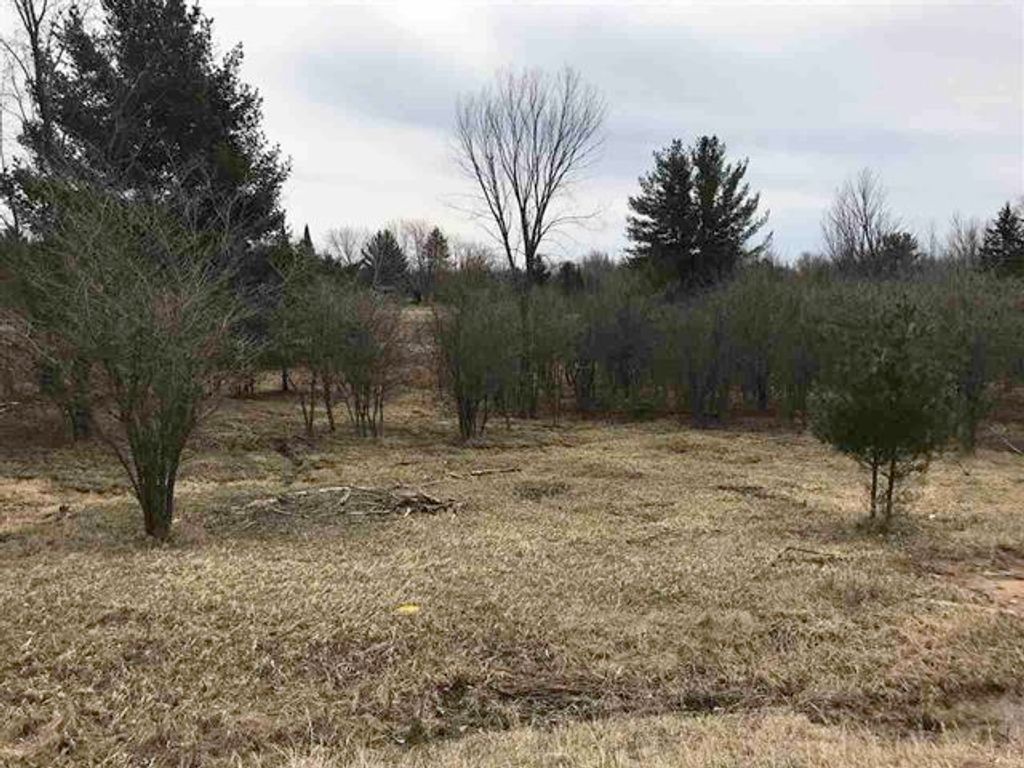 Photo of 180181 LEXINGTON Avenue #180 and 181 Lexingto, Gladwin, MI 48624 (MLS # 50144627)