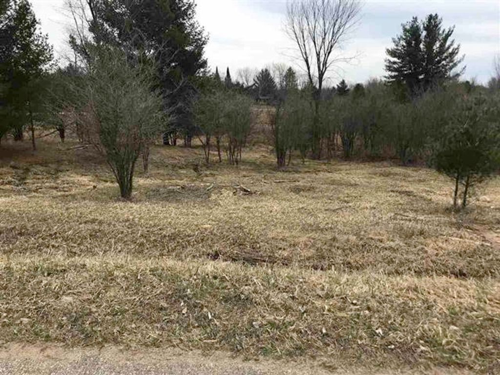 Photo of 180181 LEXINGTON Avenue #180 and 181 Lexingto, Gladwin, MI 48624 (MLS # 50144627)
