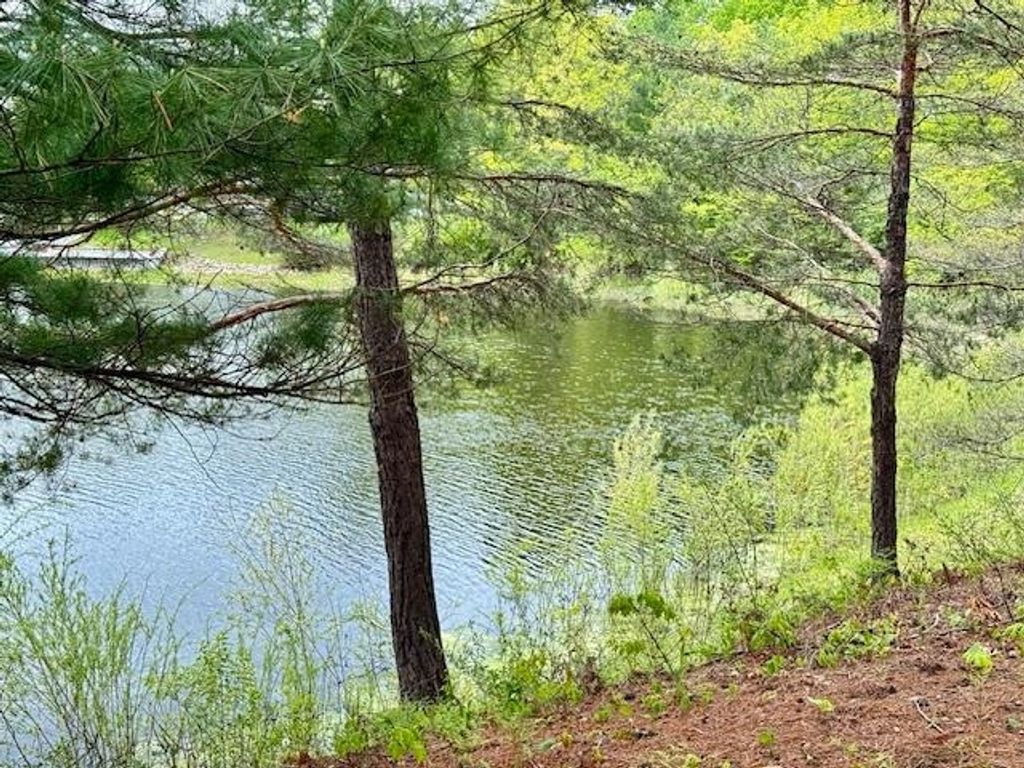 Photo of 4682 Mohawk Trail Road, Gladwin, MI 48624 (MLS # 50175497)