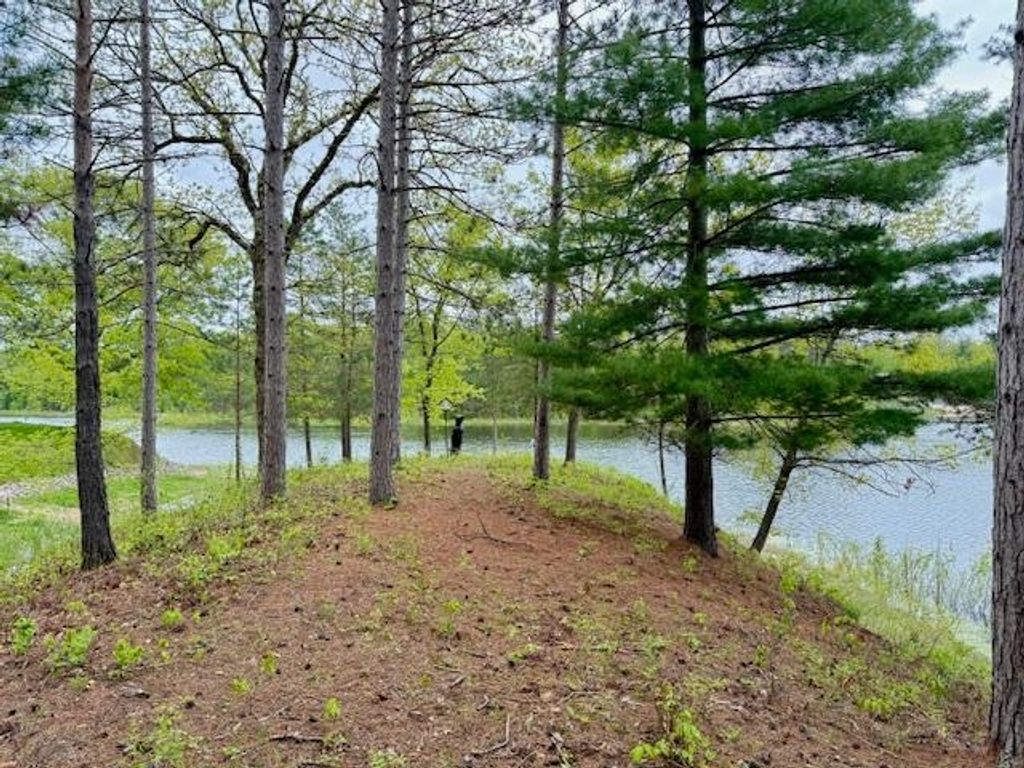 Photo of 4682 Mohawk Trail Road, Gladwin, MI 48624 (MLS # 50175497)