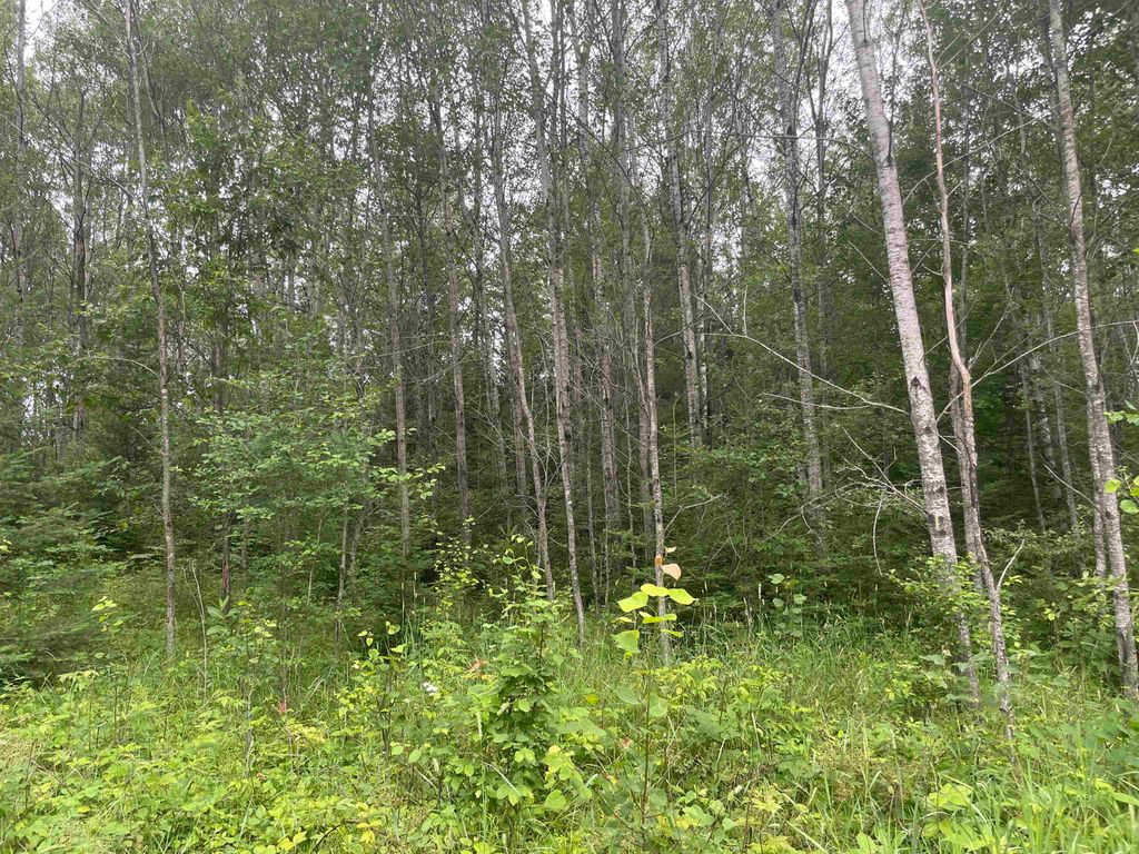 Photo of W Miller Road, Mio, MI 48647 (MLS # 50168811)