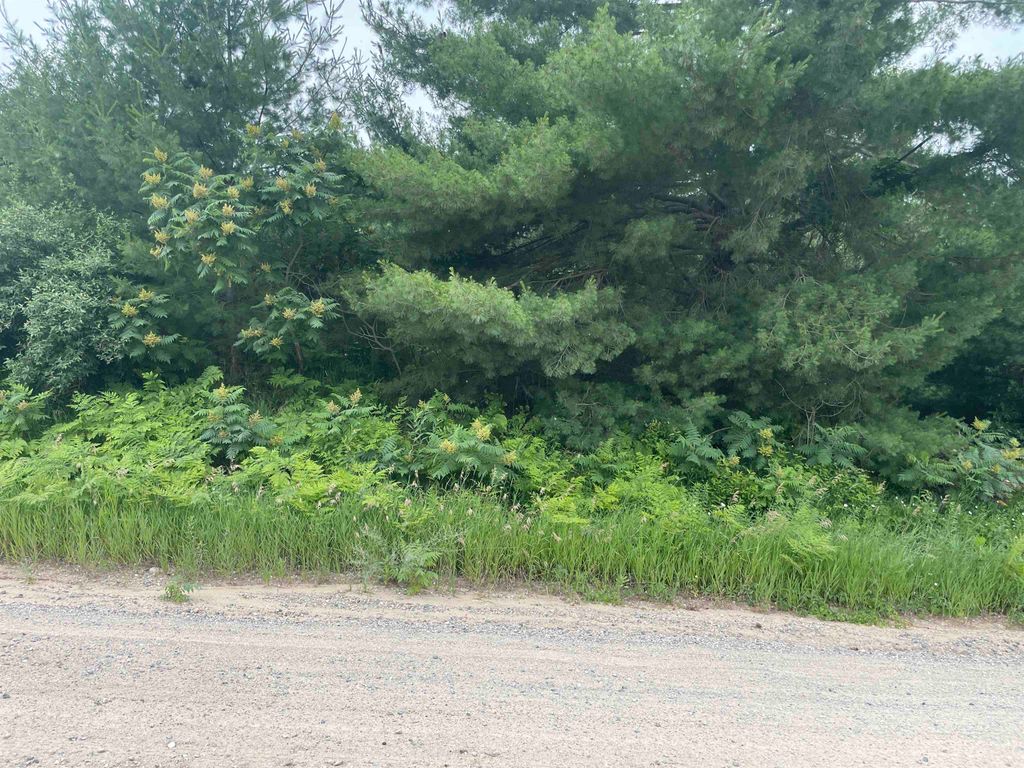 Photo of W Miller Road, Mio, MI 48647 (MLS # 50168811)