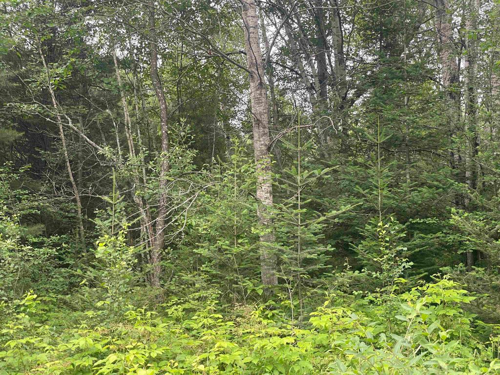 Photo of W Miller Road, Mio, MI 48647 (MLS # 50168811)