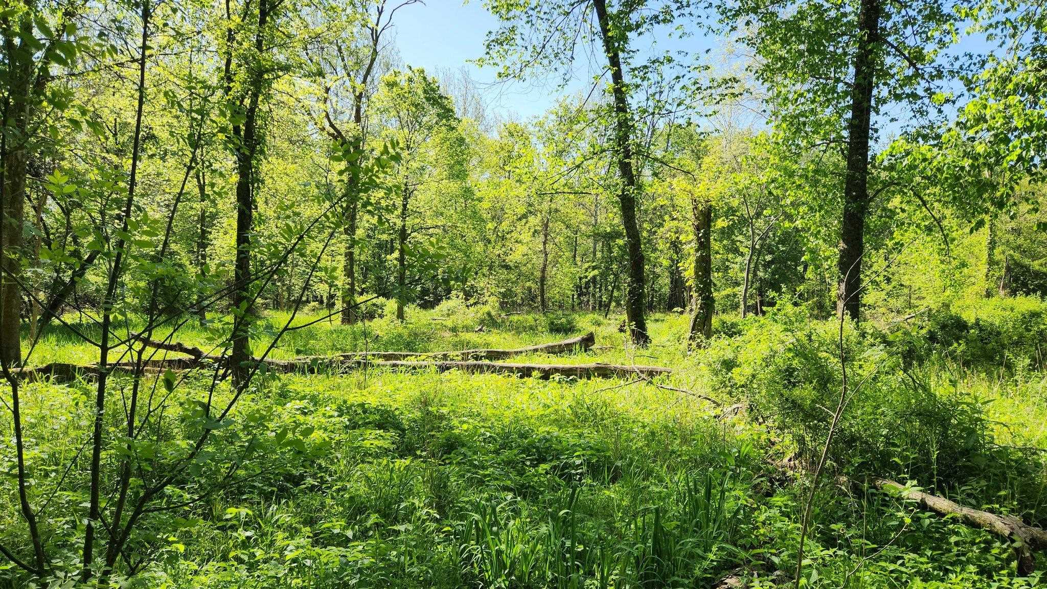 Nashville, Michigan 49073, United States, ,Land,Active,138138