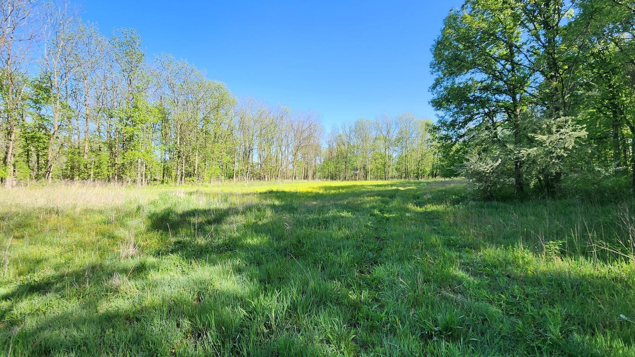 Nashville, Michigan 49073, United States, ,Land,Active,138138