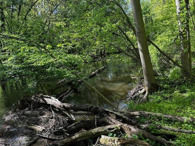 Nashville, Michigan 49073, United States, ,Land,Active,138138