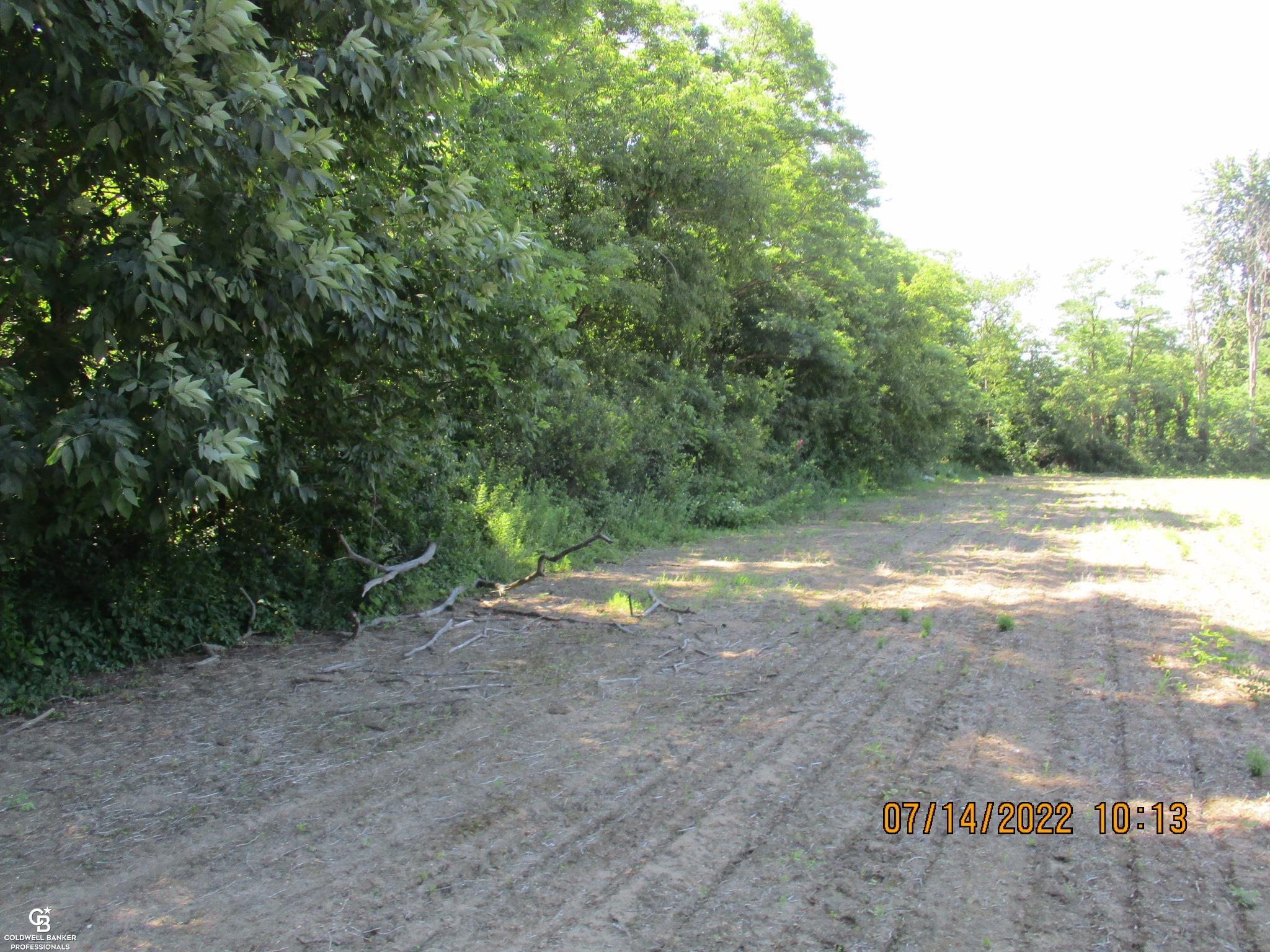 Photo 5 of 12 of 00 Bethuy Rd "A" Road land