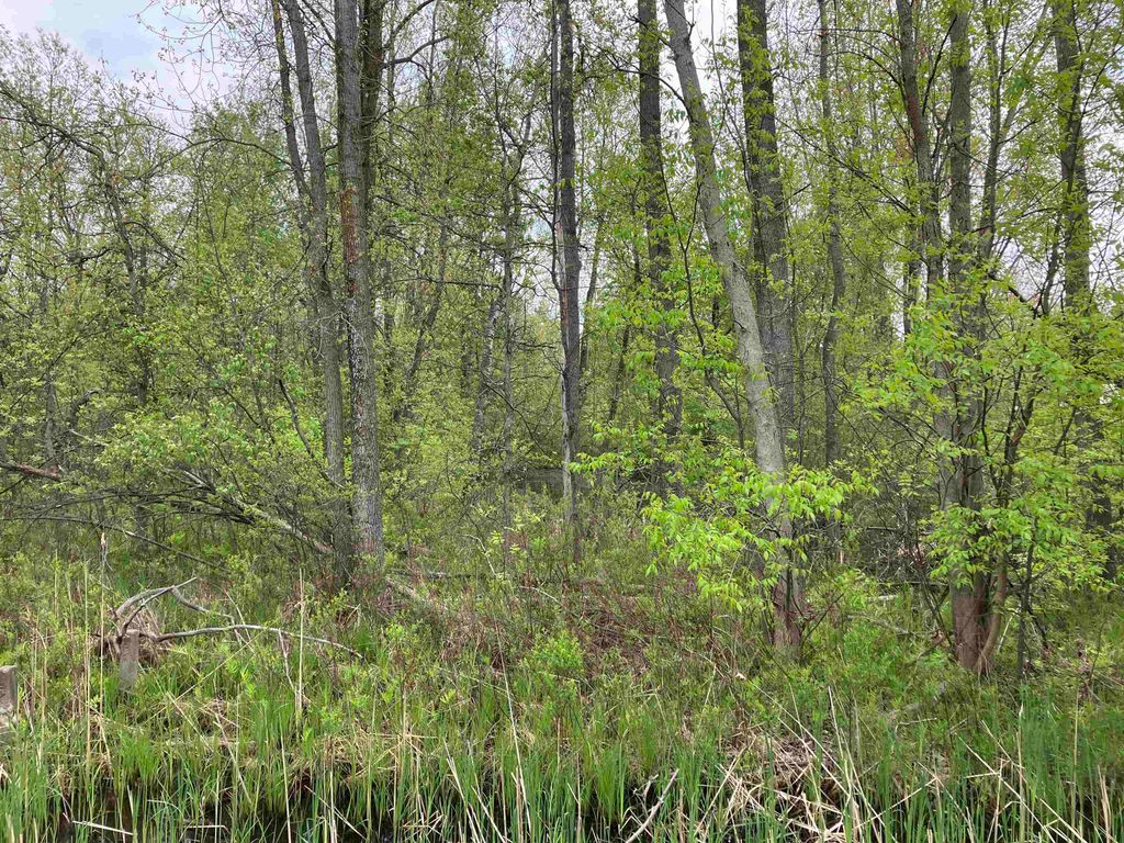 Photo of 396 W Isabella Road, Midland, MI 48640 (MLS # 50175384)