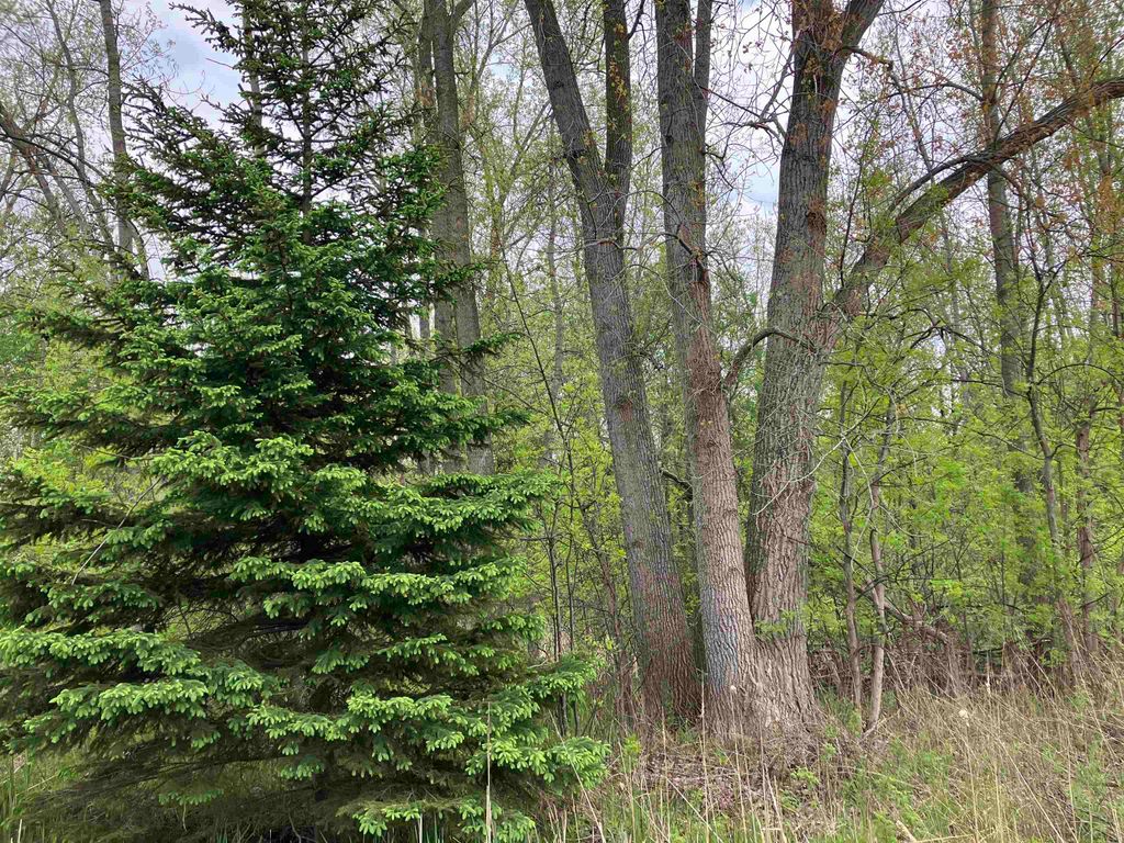 Photo of 396 W Isabella Road, Midland, MI 48640 (MLS # 50175384)