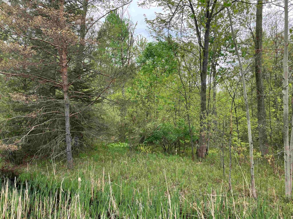 Photo of 396 W Isabella Road, Midland, MI 48640 (MLS # 50175384)