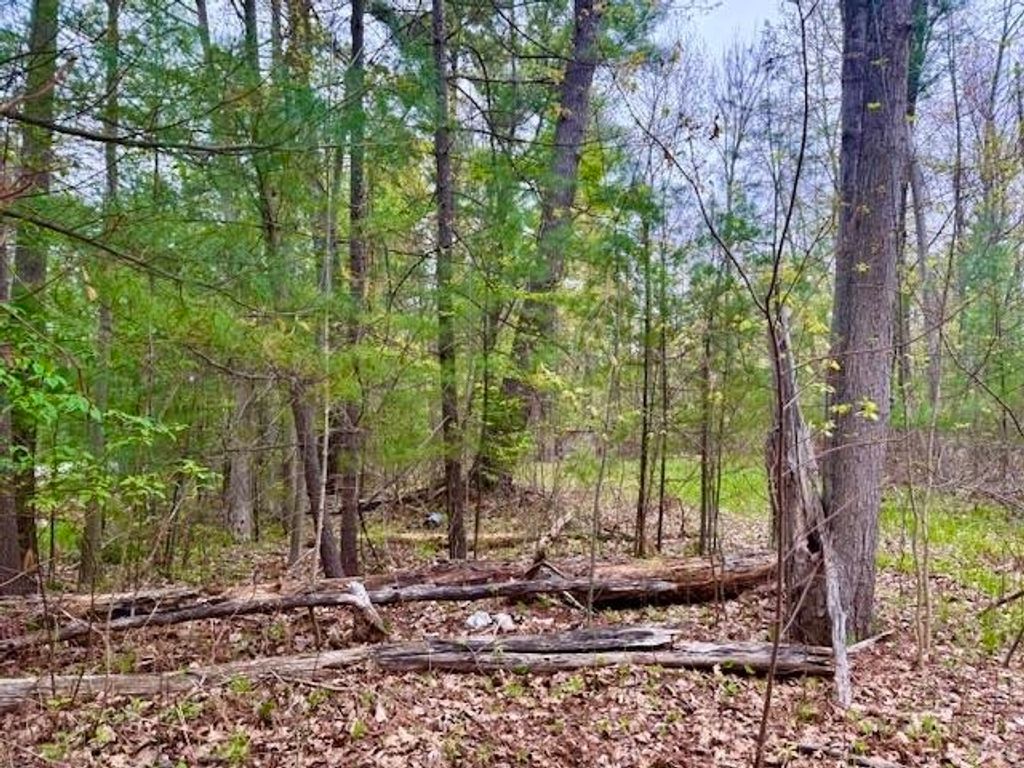Photo of West Branch Drive, Gladwin, MI 48624 (MLS # 50174511)