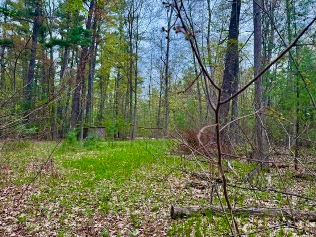 Photo of West Branch Drive, Gladwin, MI 48624 (MLS # 50174511)