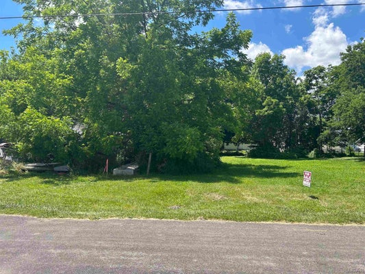 710 PARKWOOD AVE, BLISSFIELD, MI 49228 - Image 40924bcf045a68a4a2b6ecb753fb4fe0/3713656564