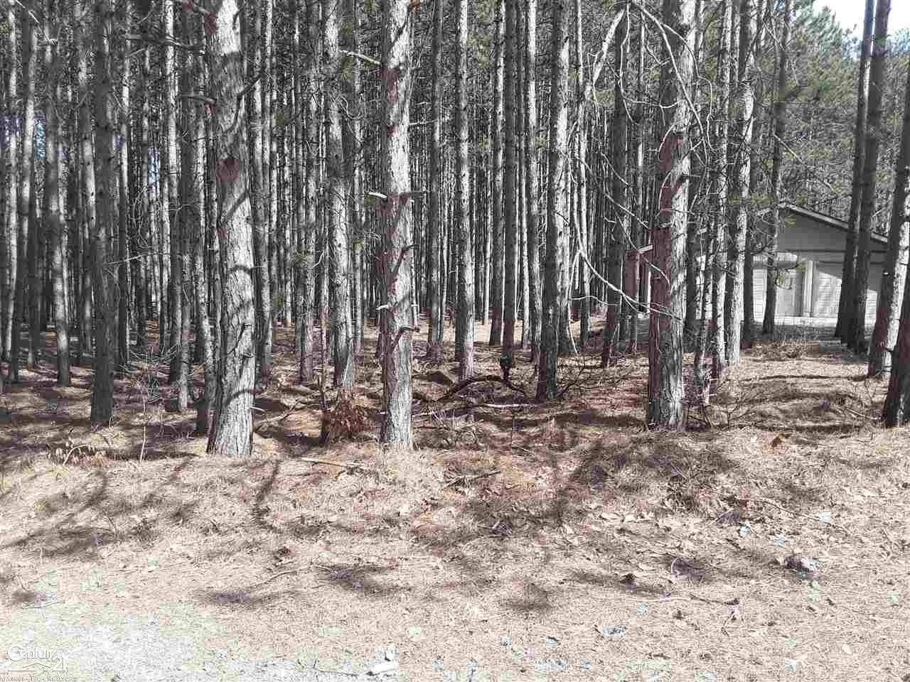 12380 Pine Mesa Drive