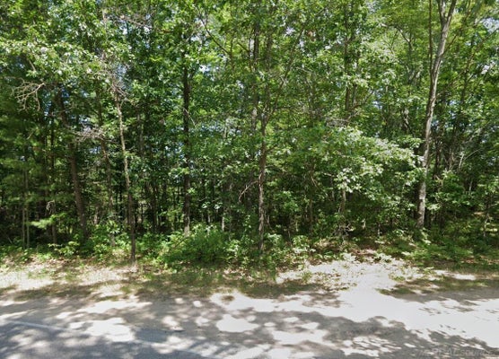 8656 N BLAIR DR, BITELY, MI 49309 - Image 51b05afb10b020e76d90e5ed8fcae53c/438545694