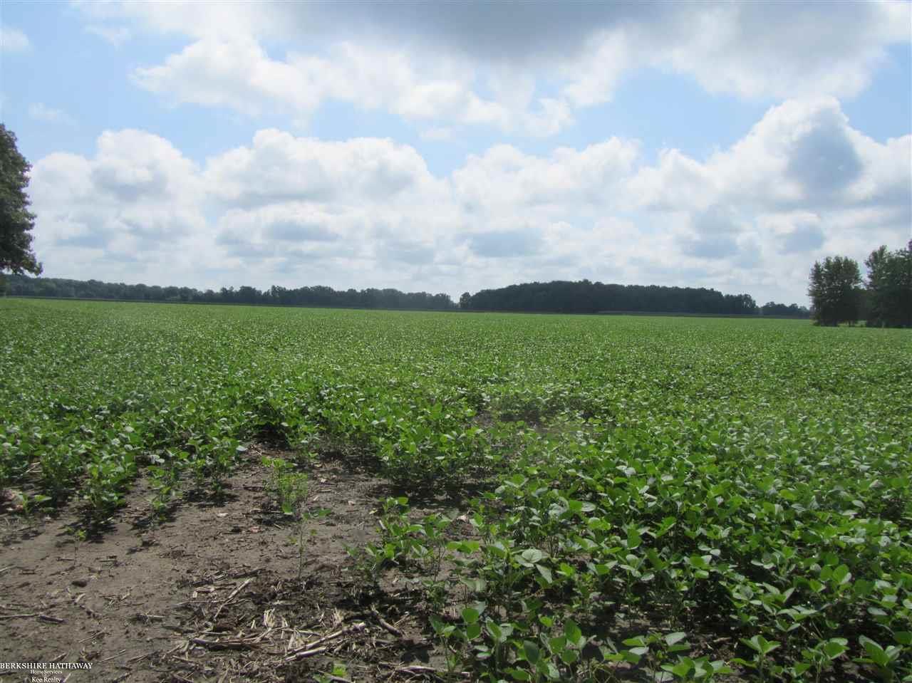 Armada, Michigan 48005, United States, ,Land,Active,75175