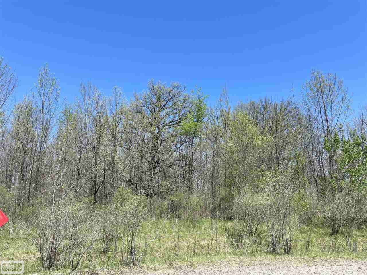 Photo 3 of 6 of 0 Homestead land