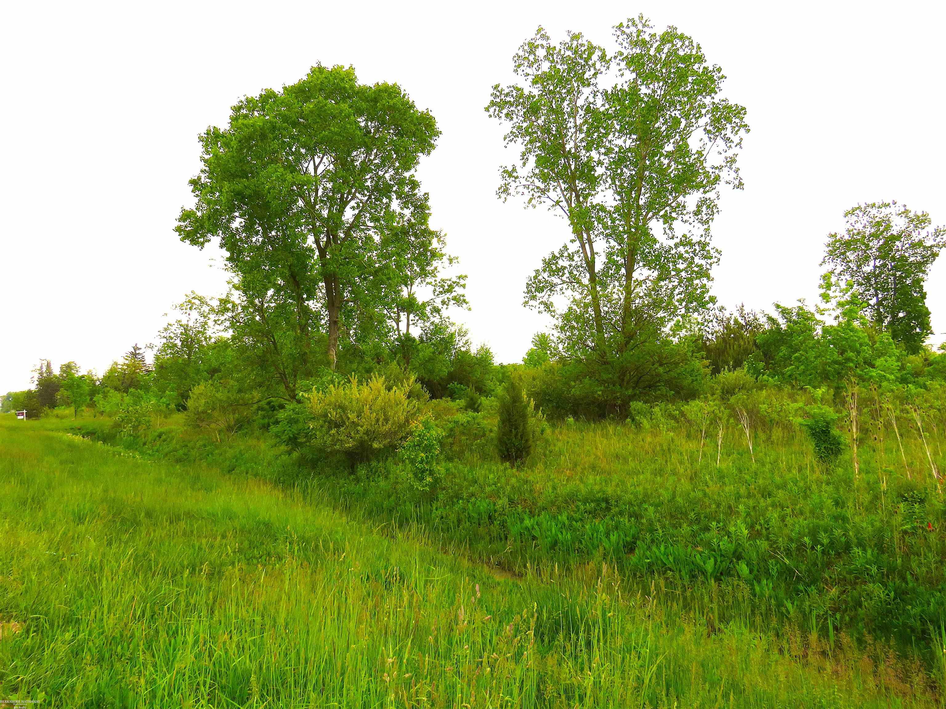 New Haven, Michigan 48050, United States, ,Land,Active,21599