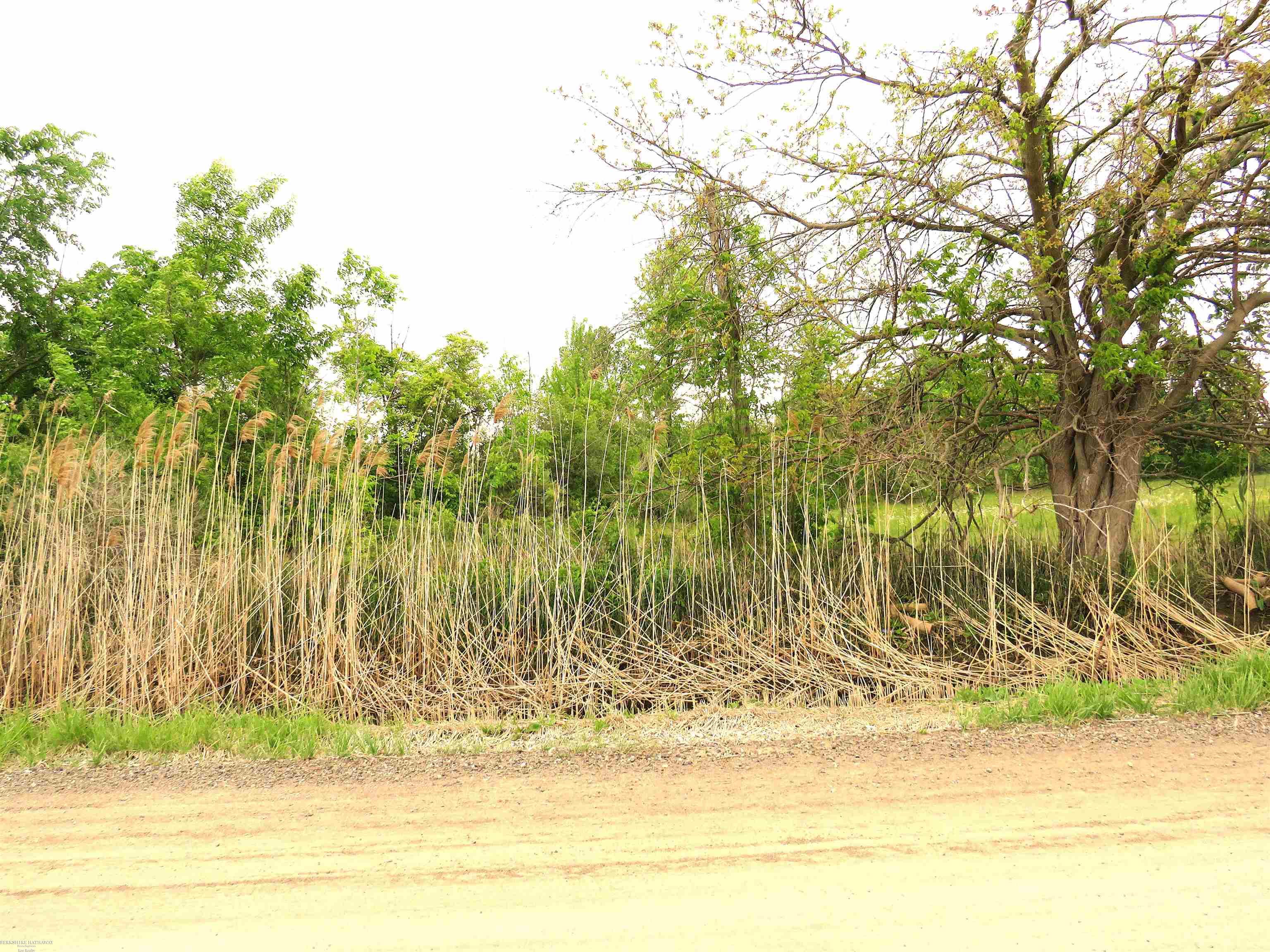 New Haven, Michigan 48050, United States, ,Land,Active,21599