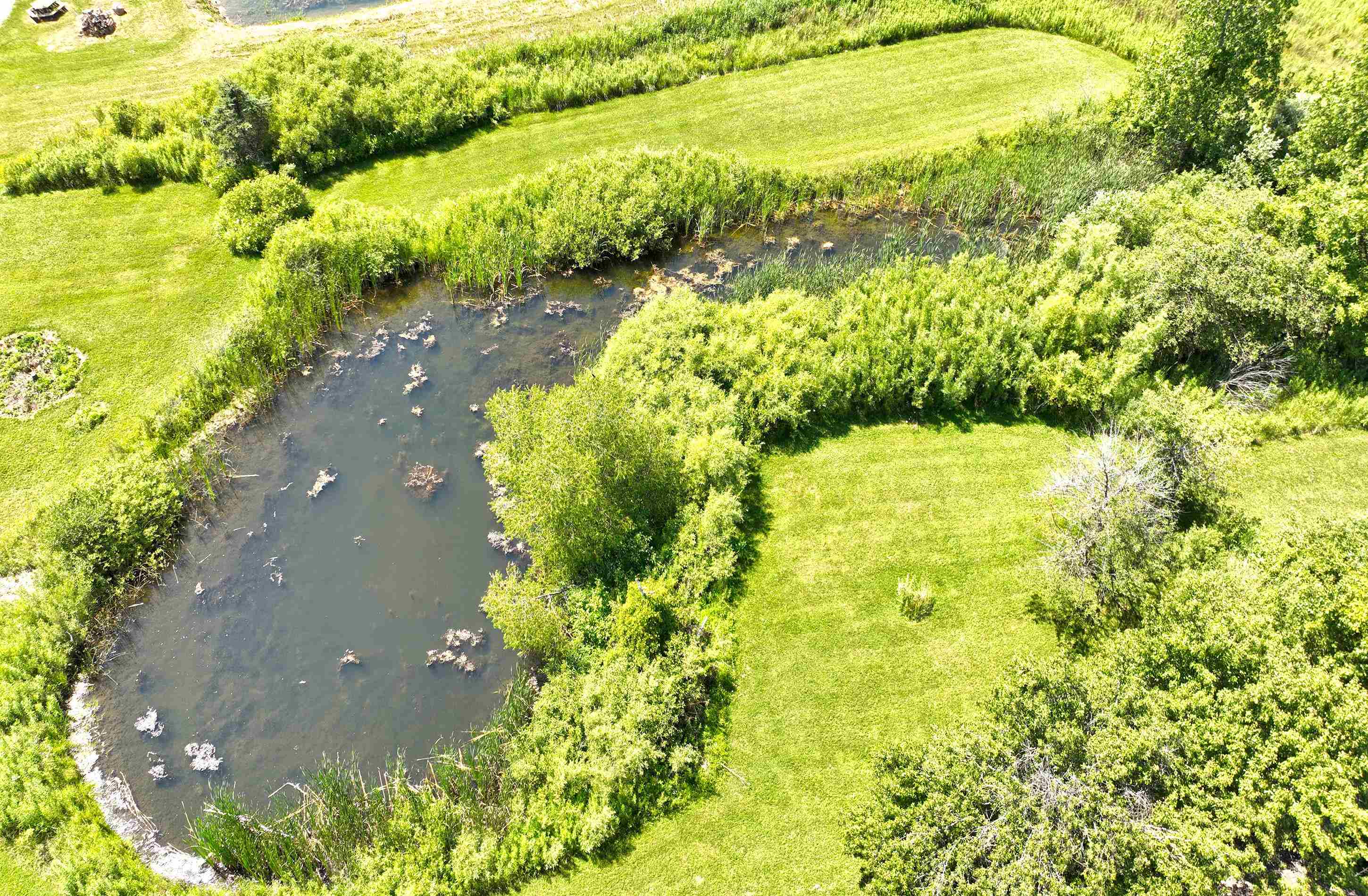 Fort Gratiot, Michigan 48059, United States, 1 Bedroom Bedrooms, ,2 BathroomsBathrooms,Residential,Active,178665