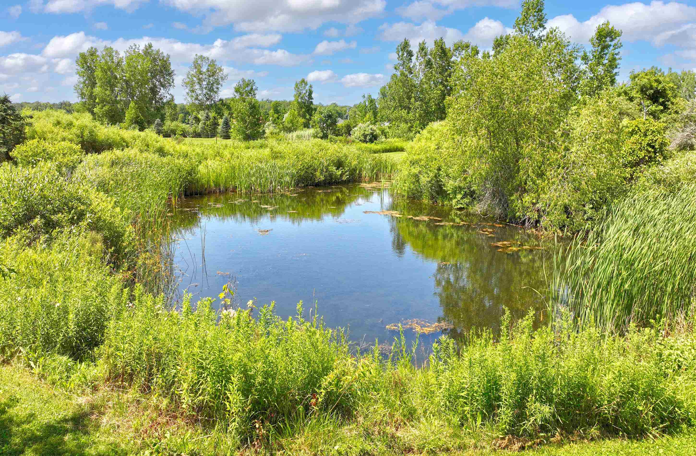 Fort Gratiot, Michigan 48059, United States, 1 Bedroom Bedrooms, ,2 BathroomsBathrooms,Residential,Active,178665