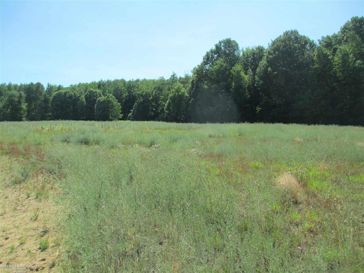 Vassar, Michigan 48768, United States, ,Land,Active,83583