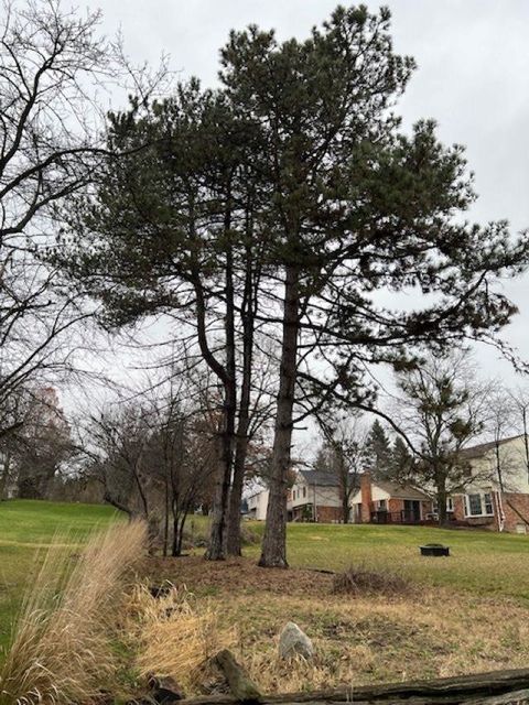 A home in Rochester