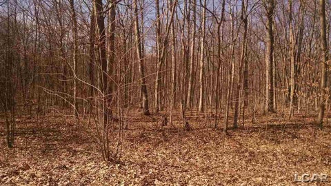 Photo for 5000 Dogwood Drive