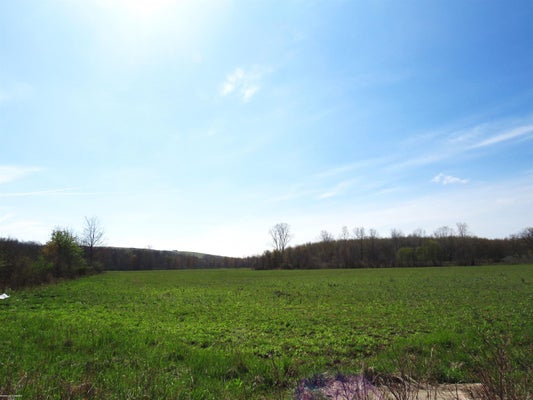0 GRATIOT ROAD, LENOX, MI 48048 - Image 98653b970fbf8ddbce3d43893e59a78b/3438497522