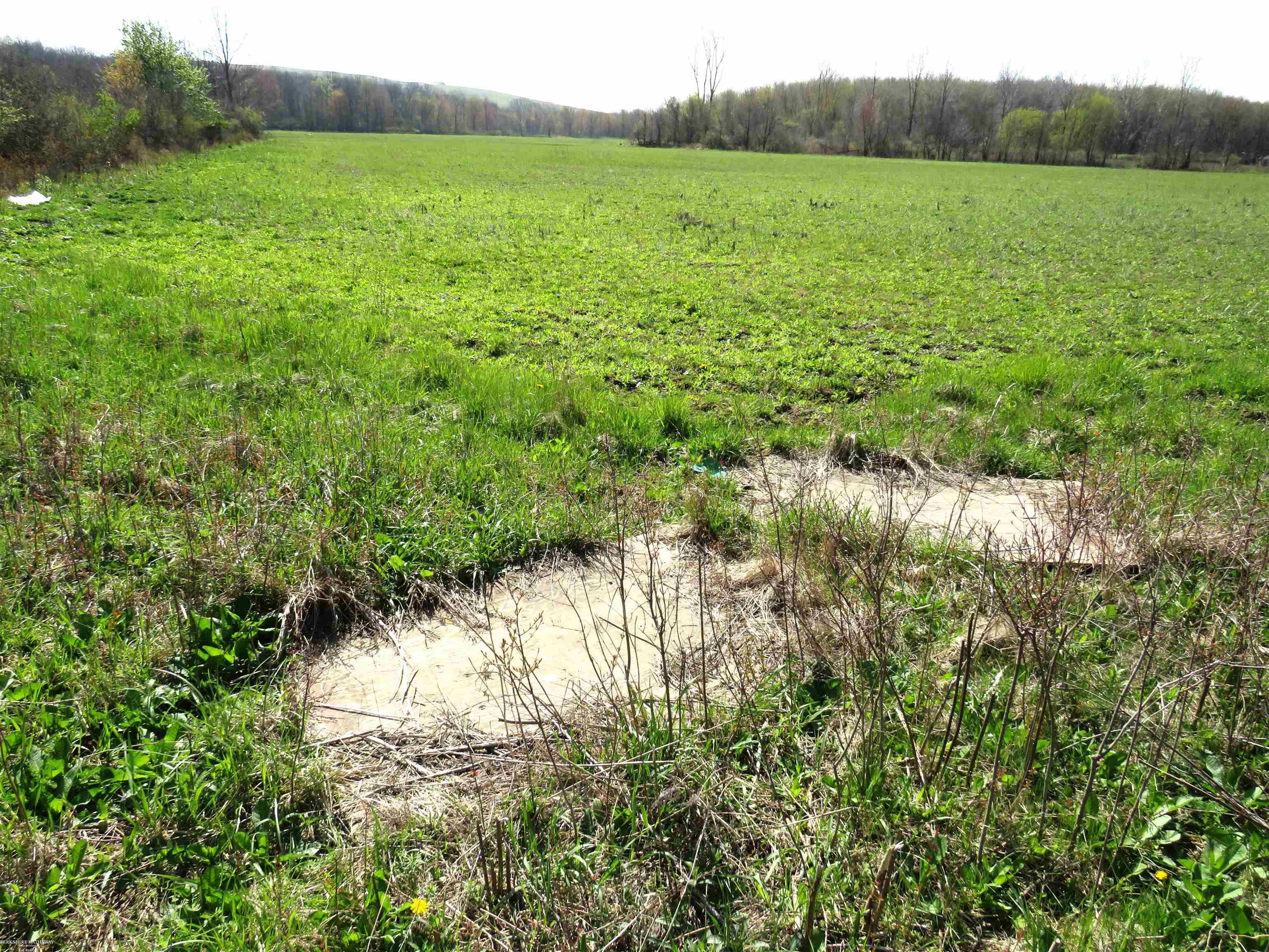 Lenox, Michigan 48048, United States, ,Land,Active,59312