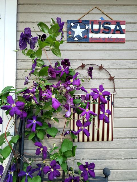 A home in Imlay City