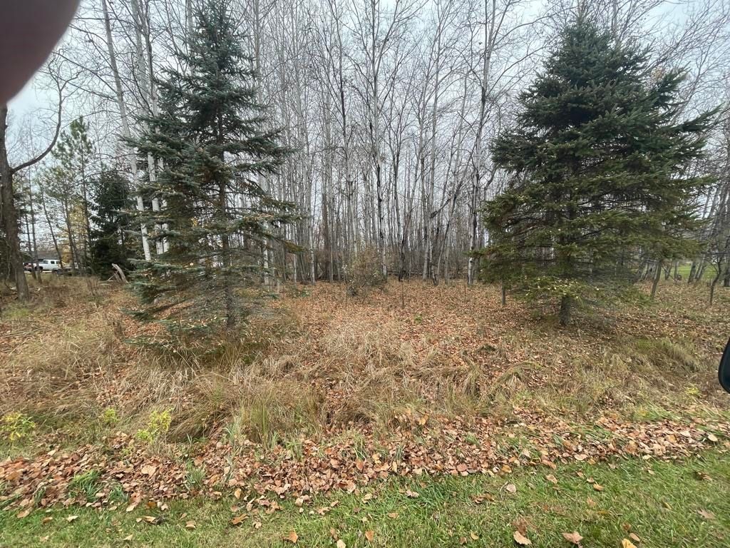 Photo of 373374 BYE Way, Gladwin, MI 48624 (MLS # 50163398)