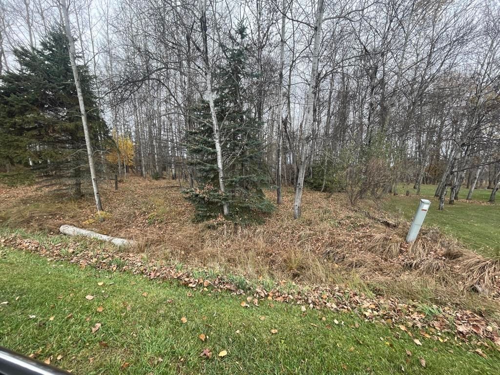 Photo of 373374 BYE Way, Gladwin, MI 48624 (MLS # 50163398)