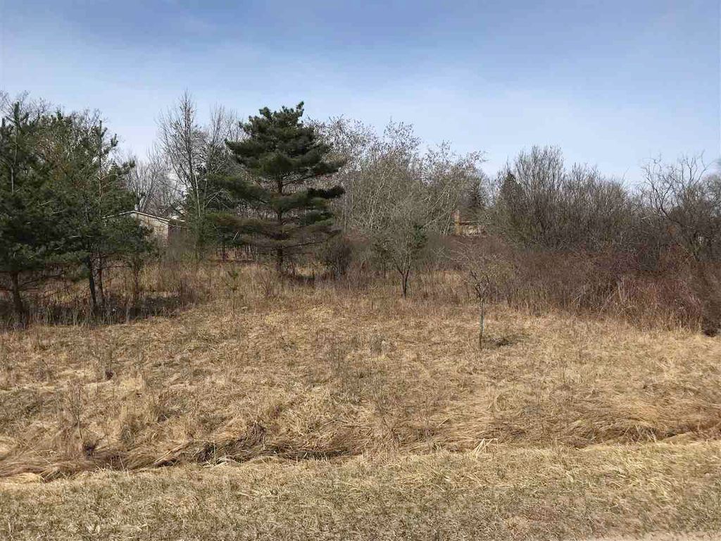Photo of 291 Track Iron Trail, Gladwin, MI 48624 (MLS # 50041942)