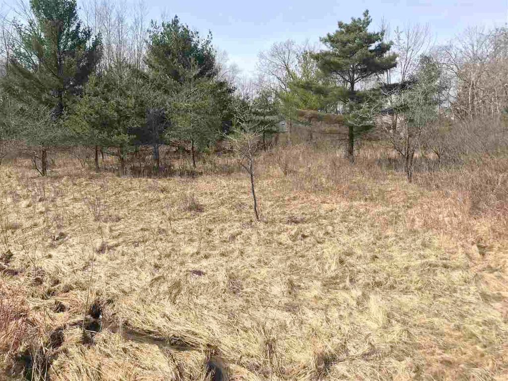 Photo of 291 Track Iron Trail, Gladwin, MI 48624 (MLS # 50041942)