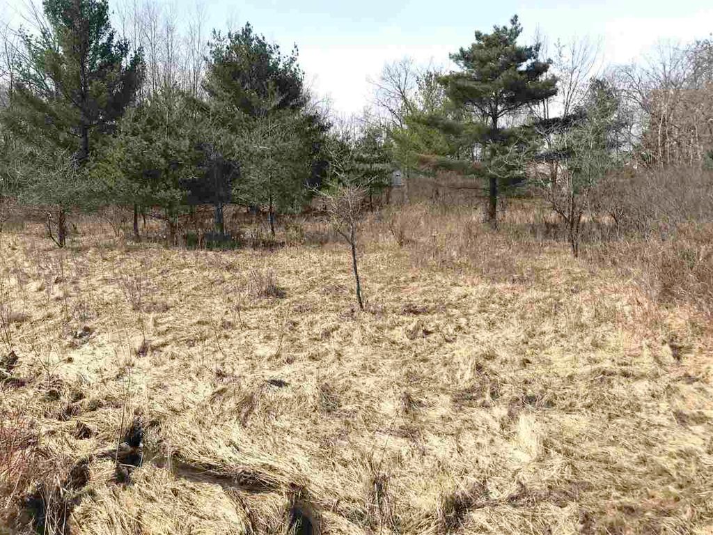 Photo of 291 Track Iron Trail, Gladwin, MI 48624 (MLS # 50041942)