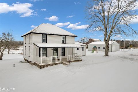 A home in Newaygo