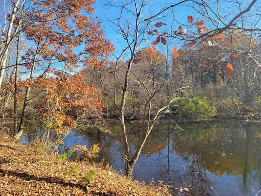 VL NORTH BRANCH DRIVE, BEAVERTON, MI 48612 - Image bef296cdb1346c11e5c1bfe652ec4cf6/789221013